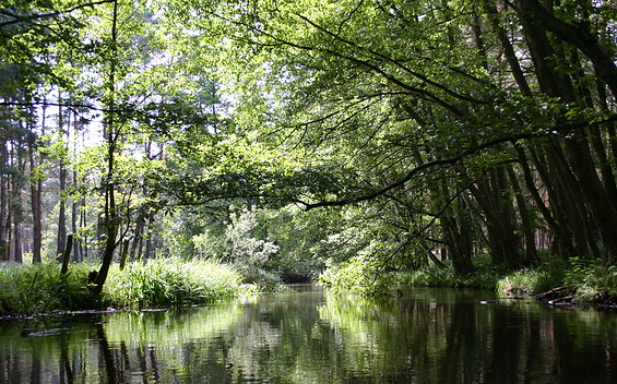 Rheinsberger Rhin, Foto: Madlen Wetzel, Lizenz: Tourismusverband Ruppiner Seenland e. V.