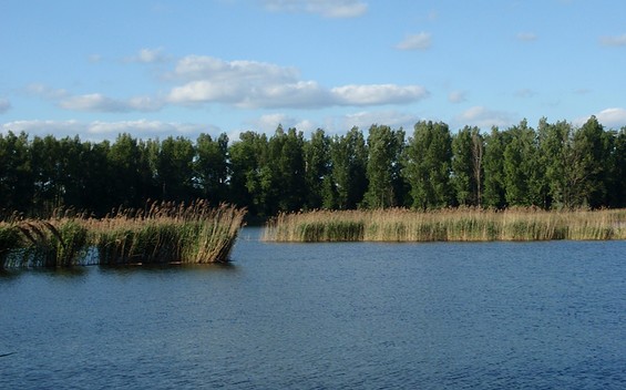 Tonstiche Zehdenick, Foto: Madlen Wetzel, Lizenz: Tourismusverband Ruppiner Seenland e. V.