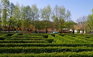 Irrgarten im Spreewaldhof Lukas, Foto: Spreewaldhof Lukas, Lizenz: Amt Burg (Spreewald)