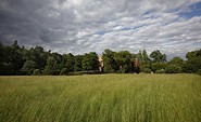 Kloster Chorin hinter Bäumen © TMB-Fotoarchiv/ Dirk Hasskarl