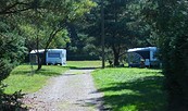 Campingplatz, Foto: Waldcamping Lausitzer Seenland