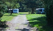 campsite, Foto: Waldcamping Lausitzer Seenland