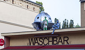 Waschbar Potsdam, Foto: André Stiebitz, Lizenz: PMSG