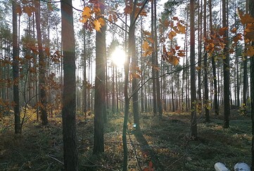 Wanderung durch die Buck'sche Schweiz