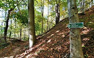 Ausschilderung des Wanderweges im Wald, Foto: Marcus Heberle, Lizenz: Tourismusverband Lausitzer Seenland e.V.