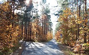 Wandern im Herbst auf der Vier-Teiche-Tour, Foto: Anja Meisler, Lizenz: Tourismusverband Lausitzer Seenland e.V.