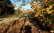Herbstliche Impressionen entlang des Wanderweges, Foto: Anja Meisler, Lizenz: Tourismusverband Lausitzer Seenland e.V.