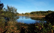 Einer der Teiche entlang des Wanderweges, Foto: Anja Meisler, Lizenz: Tourismusverband Lausitzer Seenland e.V.