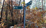 Signposting of the hiking trail, Foto: Anja Meisler, Lizenz: Tourismusverband Lausitzer Seenland e.V.