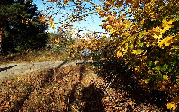 Autumnal impressions along the hiking trail, Foto: Anja Meisler, Lizenz: Tourismusverband Lausitzer Seenland e.V.
