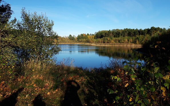 One of the ponds along the hiking trail, Foto: Anja Meisler, Lizenz: Tourismusverband Lausitzer Seenland e.V.