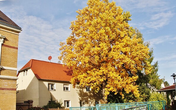 Outside view in autumn, Foto: Gabriele Hanschke, Lizenz: Fam. Hanschke