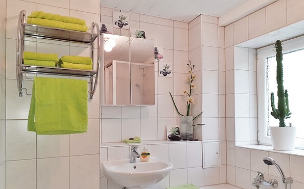 Bathroom with shower and tub, Foto: Gabriele Hanschke, Lizenz: Fam. Hanschke