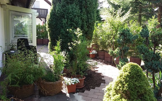 Garten in der Pension Mark in Hoyerswerda, Foto: Foto: Gabriela Mark, Lizenz: Pension Mark