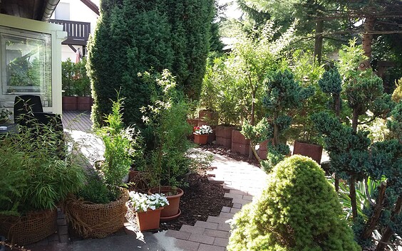 Garden in the pension Mark in Hoyerswerda , Foto: Foto: Gabriela Mark, Lizenz: Pension Mark