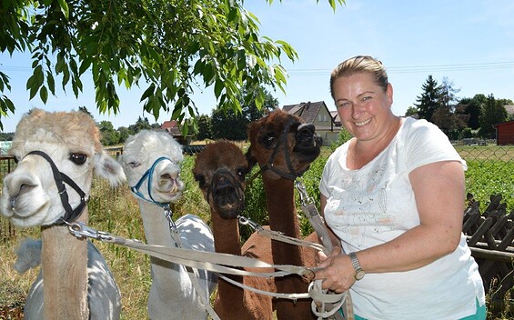Animal Assisted Therapist Cornelia Schnippa with Alpacas, Foto: Christiane Klein, Lizenz: LAUSITZleben