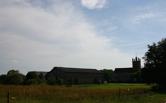 Running Park Stechlin: Dannenwalde - Marienthal - Bredereiche ("Wabe Violett")