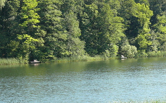 See, Foto: TV Seenland oder-Spree e.V.