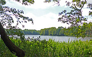 Auf dem Rundweg um den Weißen See, Foto: Gemeinde Schorfheide, Lizenz: Gemeinde Schorfheide