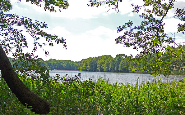 Auf dem Rundweg um den Weißen See, Foto: Gemeinde Schorfheide, Lizenz: Gemeinde Schorfheide