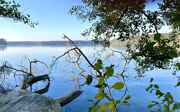 Blick auf den Stechlinsee, Foto: Itta Olaj, Lizenz: Tourismusverband Ruppiner Seenland e. V.