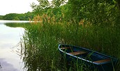 Rowing boat at Lake Caputh, Foto: Kultur- und Tourismusamt Schwielowsee