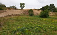 Dry grassland biotope Krähenberg, Foto: Kultur- und Tourismusamt Schwielowsee