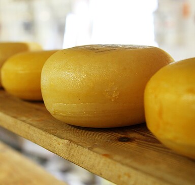 Hofkäserei Hennig - cheese dairy
