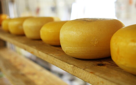 Käse, Foto: PublicDomainPictures, Lizenz: pixabay