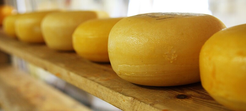 Hofkäserei Hennig - cheese dairy