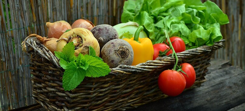 Farm shop Roskow