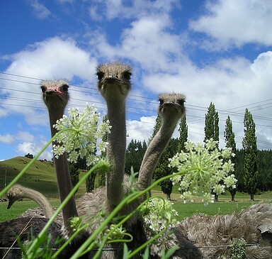 Erlebnishof Kützkow