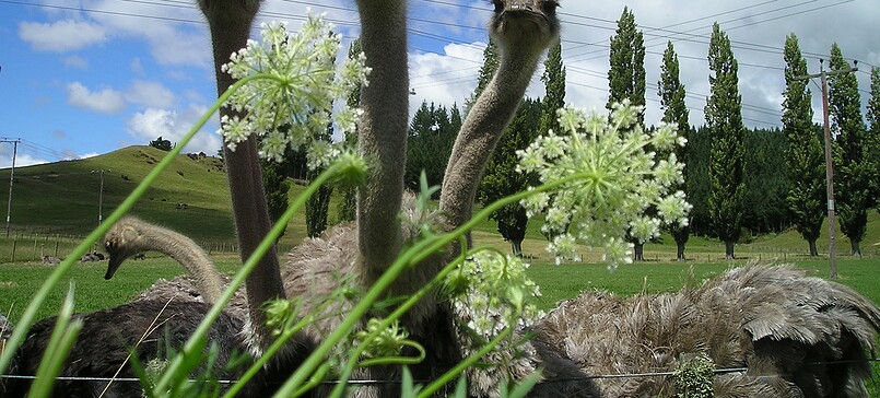 Erlebnishof Kützkow