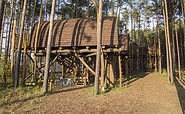 Baumhäuser im Hafencamp Senftenberger See, Foto: Harry Müller, Lizenz: Zweckverband Lausitzer Seenland Brandenburg