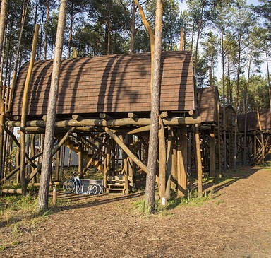 Baumhäuser im Hafencamp Senftenberger See