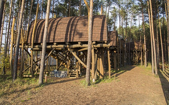 Baumhäuser im Hafencamp Senftenberger See