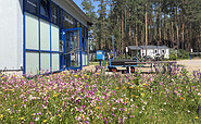 Rezeption Hafencamp, Foto: Julia Kussatz, Lizenz: Zweckverband Lausitzer Seenland Brandenburg