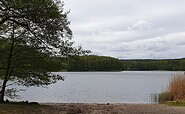 Großer Lienewitzsee, Foto: Kultur- und Tourismusamt Schwielowsee