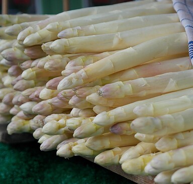 Beelitz Asparagus Farm