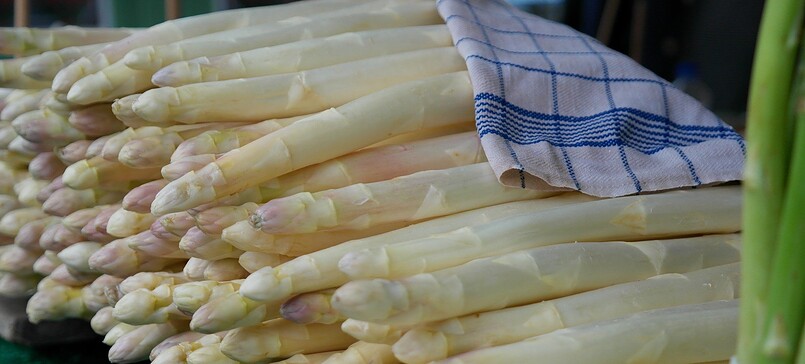 Beelitz Asparagus Farm