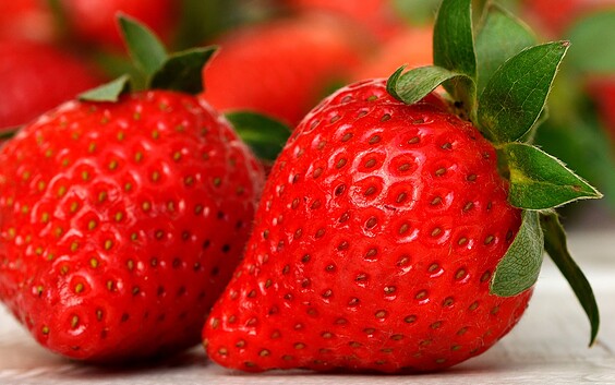Foto: Alexas_Fotos, Lizenz: pixabay