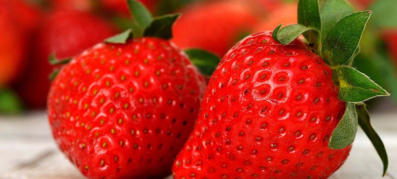 Fruit farm Wache