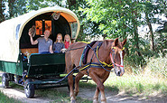 Unterwegs im Planwagen, Foto: Michael Vitz, Lizenz: Liesje Trecking Nadin Halser