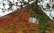 Herbst