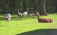 Tierpark Finsterwalde, Foto: Tierpark Finsterwalde, Lizenz: Tierpark Finsterwalde