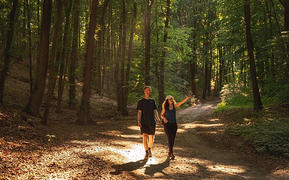 Wandern bei Falkenberg (Mark), Foto: Florian Läufer, Lizenz: Seenland Oder-Spree