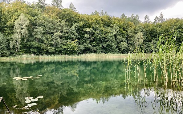 Blick auf den Wummsee, Foto: Itta Olaj, Lizenz: Tourismusverband Ruppiner Seenland e.V.