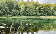 Blick auf den Wummsee, Foto: Itta Olaj, Lizenz: Tourismusverband Ruppiner Seenland e.V.