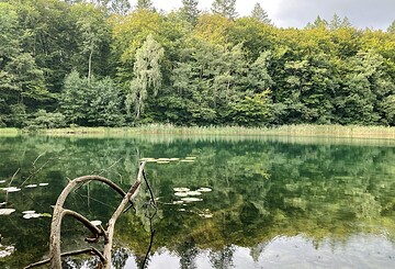 Blick auf den Wummsee, Foto: Itta Olaj, Lizenz: Tourismusverband Ruppiner Seenland e.V.
