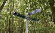 Signposting of the Wummsee circular trail, Foto: Itta Olaj, Lizenz: Tourismusverband Ruppiner Seenland e.V.